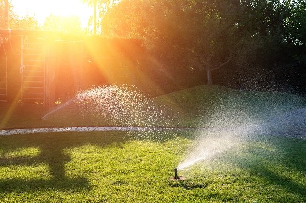 Sprinklers for the summer sun